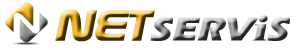 netservis